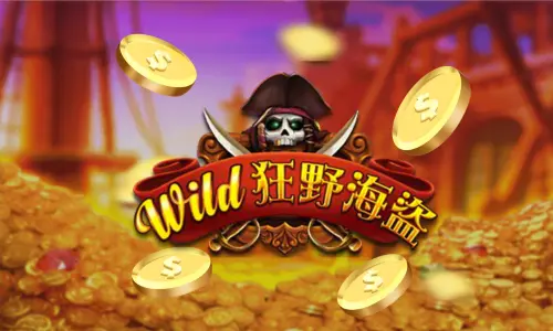 狂野海盜電子遊戲
